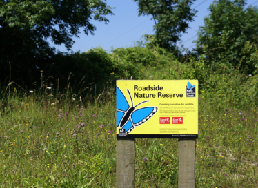 Roadside nature reserve